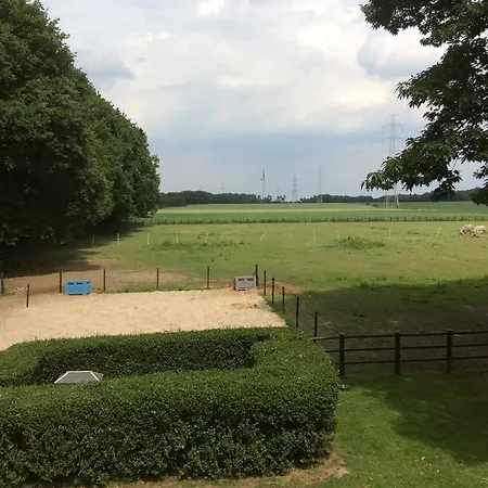Op De Driepaal