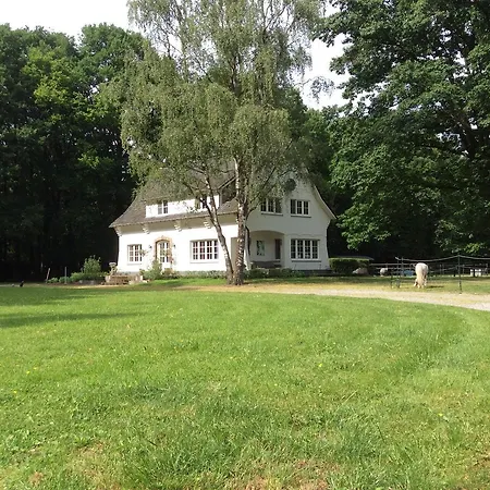 Op De Driepaal Bed & Breakfast